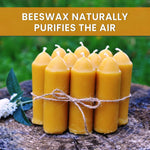 Beeswax Lantern Candles